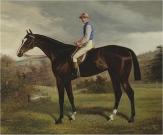 <span class="mw-page-title-main">Voluptuary</span> British Thoroughbred racehorse