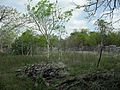 Xtobó, Yucatán.