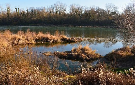 Bord de Rhône, Vernaison