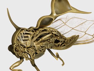 <span class="mw-page-title-main">X-ray microtomography</span>