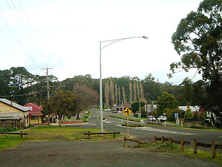 Erica, Victoria Town in Victoria, Australia