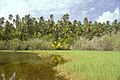 Uno degli specchi d'acqua presenti nell'interno