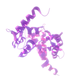 <span class="mw-page-title-main">KvLQT2</span> Protein-coding gene in the species Homo sapiens