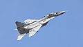 47 Commons:Picture of the Year/2011/R1/MiG-29 SK 2547.JPG