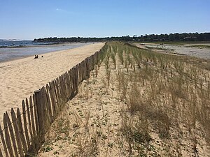 Restauration de l'ancrage endommagé par des brèches. Vue du nord.