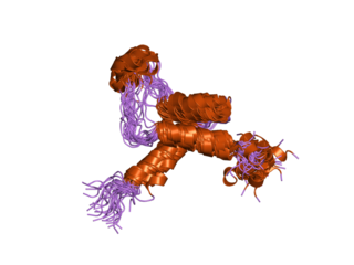 <span class="mw-page-title-main">TEAD2</span> Protein-coding gene in the species Homo sapiens