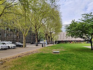 Imperial College Road runs along the south side of the lawn. The Chemistry Building is across the road