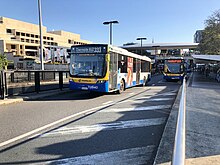 Buses at an interchange T2840.jpg