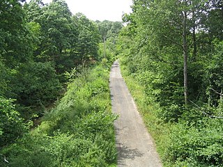 <span class="mw-page-title-main">Wyre Forest</span> Large, semi-natural woodland in England