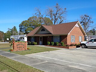 <span class="mw-page-title-main">Alston, Georgia</span> Town in Georgia, United States