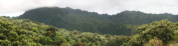 Polynesia