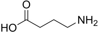 <span class="mw-page-title-main">GABA receptor</span> Receptors that respond to gamma-aminobutyric acid