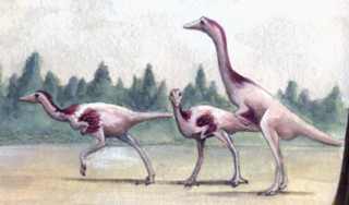 <i>Kinnareemimus</i> Extinct genus of dinosaurs