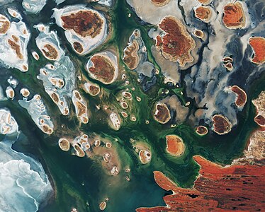 "Lake_MacKay_Australia.jpg" by User:Yann