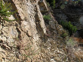 <span class="mw-page-title-main">Matilija Sandstone</span> Southern California geological formation