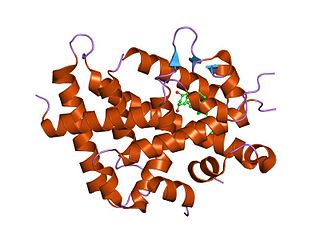 <span class="mw-page-title-main">MED1</span> Protein-coding gene in the species Homo sapiens