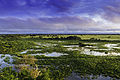 parko nasional de el Pantanal de el Mato Groso, a sud