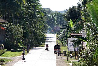 <span class="mw-page-title-main">Sikatuna, Bohol</span> Municipality in Bohol, Philippines