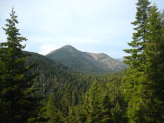 <span class="mw-page-title-main">Siskiyou Mountains</span> Mountain range in Oregon and California, US