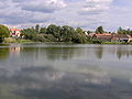 Fiŝlago en Temelín