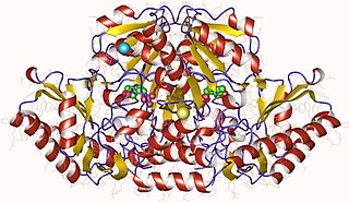 <span class="mw-page-title-main">Succinylornithine transaminase</span>