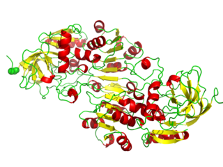 <span class="mw-page-title-main">Rossmann fold</span> Protein fold