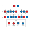 Pedigree chart