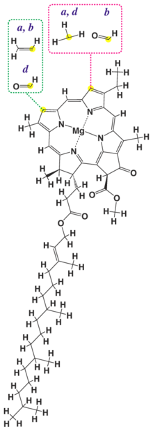 Chlorophyll structure.png