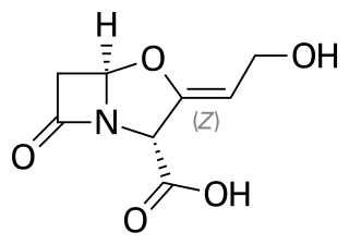 β-Lactamase inhibitor Drugs that inhibit β-Lactamase enzymes