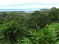 Daintree National Park no extremo norte de Queensland, na Austrália