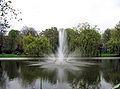 Fountain in the City Park