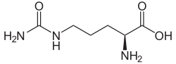 Strukturformel von Citrullin