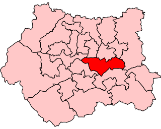 <span class="mw-page-title-main">Morley and Rothwell (UK Parliament constituency)</span> Parliamentary constituency in the United Kingdom, 1997–2010