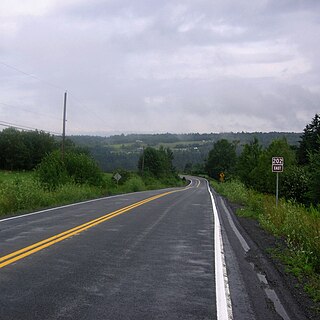 <span class="mw-page-title-main">Nova Scotia Route 202</span>