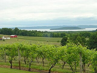 <span class="mw-page-title-main">Old Mission Peninsula AVA</span>