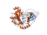 PDB 1xh9 EBI.png