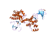 1yoj: Crystal structure of Src kinase domain