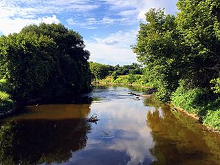 <span class="mw-page-title-main">Shiawassee River</span> River in Michigan, United States