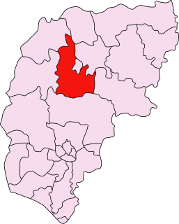 Stedham (ward) Human settlement in England