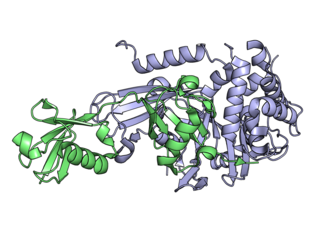 <span class="mw-page-title-main">Deubiquitinating enzyme</span>