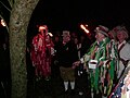 Escampant wassail entre els pomers per a assegurar una bona collita (West Sussex).