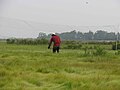 Mistnet voor het vangen van vogels