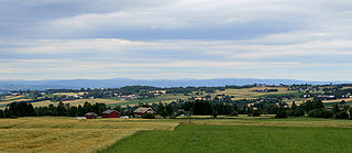 <span class="mw-page-title-main">Østre Toten</span> Municipality in Innlandet, Norway