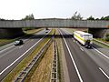 Snelweg A1 door natuurgebied de Borkeld