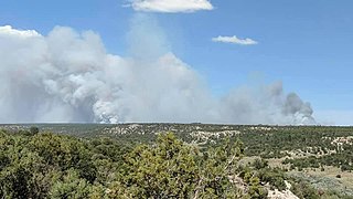 <span class="mw-page-title-main">Wood Springs 2 Fire</span> 2020 wildfire in Arizona