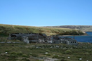 Ajax Bay Place in Falkland Islands, United Kingdom