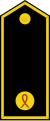 B ARVN-Student Officer.svg