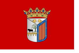 Flag of Salamanca - Bandera de Salamanca