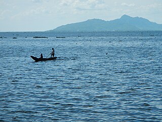 <span class="mw-page-title-main">Laguna de Bay</span> Largest lake in the Philippines