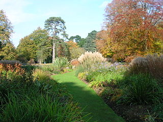 <span class="mw-page-title-main">Exbury Gardens</span> Botanical garden in Hampshire, England